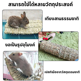 PETLUSCI ที่นอนหญ้าแห้ง เสื่อหญ้า รองพื้นกรงกินได้ ของเล่นลับฟันกระต่าย สำหรับ กระต่าย หนูตะเภา