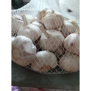 กระเทียมจีนปิงปอง มี 2 ขนาด 500 กรัมกับ 1 กิโลกรัม