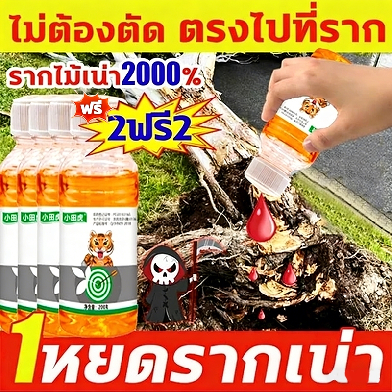 ยาฆ่าแมลงบิ๊กทรี ยาฆ่าแมลงพืช สูตรเข้มข้น 200มล. 1 ขวด เท่ากับ 10 ขวด ยาฆ่าตอไม้ไผ่ ยาฆ่าแมลง ยาฆ่าตอต้นไม้