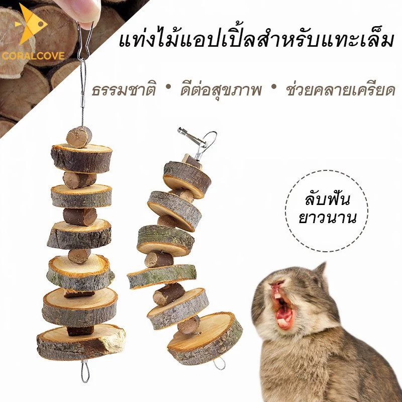 coralcoveshop ของเล่นแทะเล็ม ไม้แอปเปิ้ลแท้ ธรรมชาติ ลับฟัน สำหรับกระต่าย หนูแฮมสเตอร์ ชินชิล่า นก