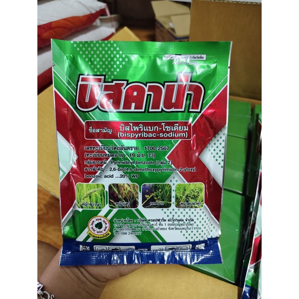 บิสคาน่าปราบหญ้าข้าวนกกระดูกไก่หนวดปลาดุก