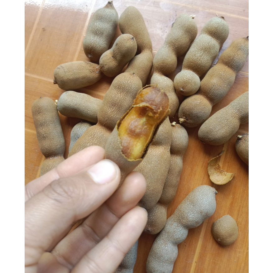 รูปภาพ 2