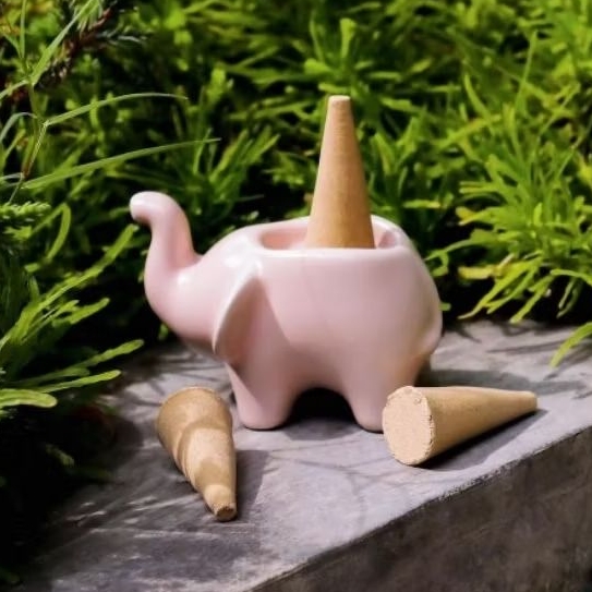 Breezy Frankincense Cone scent incense Aroma cone กำยานหอม กำยานหอมอโรม่า กำยานสมุนไพร กำยานไหว้พระ กำยานให้กลิ่นหอม