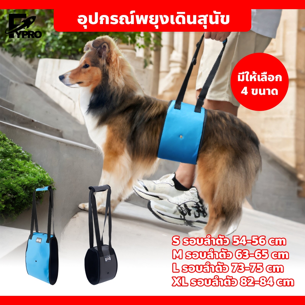 FYP อุปกรณ์ช่วยเดินสุนัข ที่พยุงตัวสุนัข ทำความสะอาดง่าย มี2สีให้เลือก เทา/น้ำเงิน
