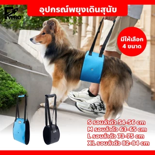 FYP อุปกรณ์ช่วยเดินสุนัข ที่พยุงตัวสุนัข ทำความสะอาดง่าย มี2สีให้เลือก เทา/น้ำเงิน