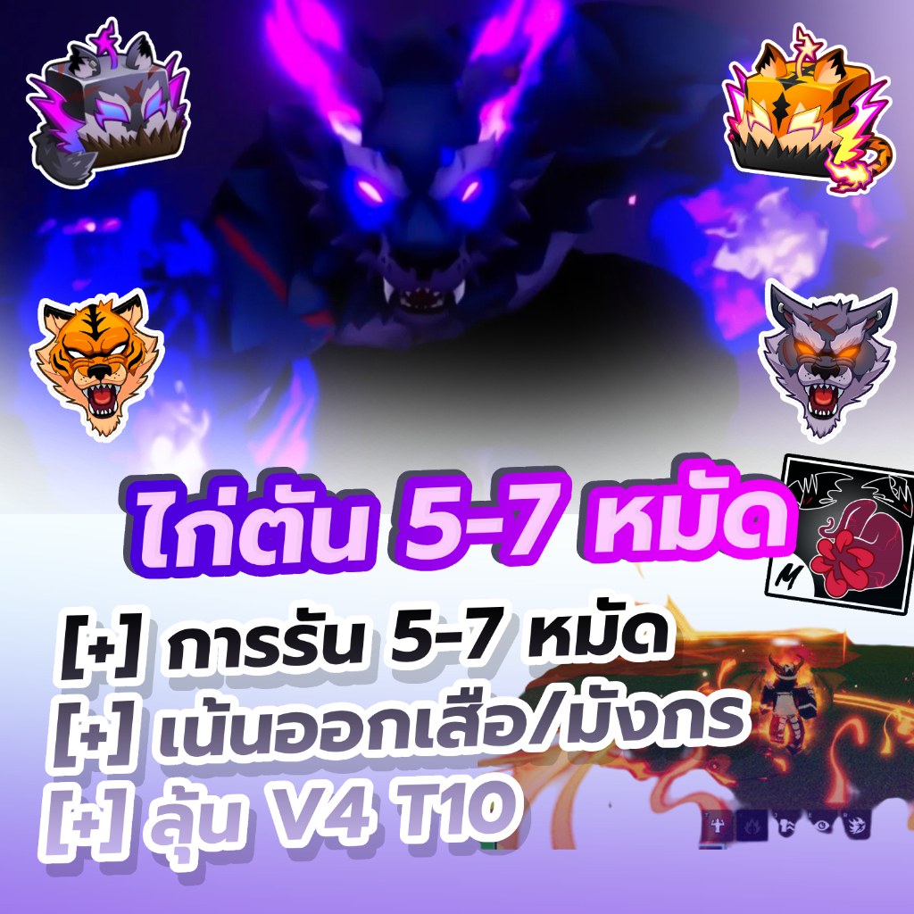 ไก่ตัน 5-7 หมัด ลุ้นเสือและมังกรโดยเฉพาะ การ์ดเกมสวยคมชัด