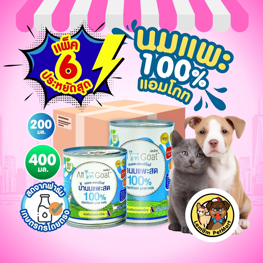(แพ็ค x6 กระป๋อง) นมแพะ 100% แอมโกท สำหรับสัตว์เลี้ยง ไม่ผสมนมผง ย่อยง่า ดูดซึมเร็ว วิตามินครบถ้วน
