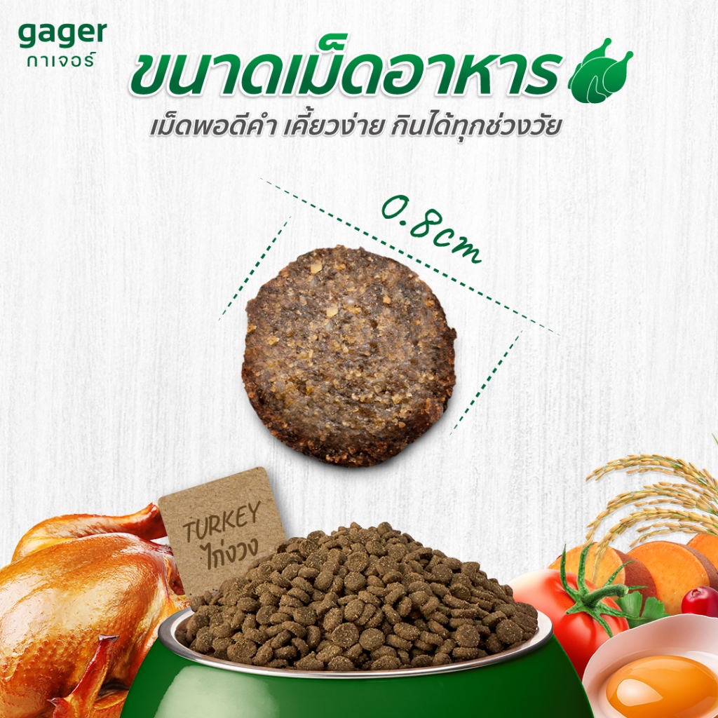 (ยกลัง10ถุง) Gager อาหารแมว กาเจอร์ เสริมวิตามิน เพื่อสุขภาพ พัฒนาโดยสัตวแพทย์ (1กิโล10ถุงเลือกสูตร) - รูปที่ 3