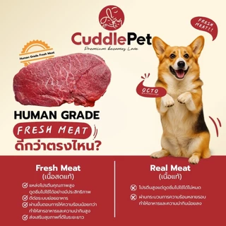 อาหารสุนัขเม็ดนุ่ม พรีเมียม Holistic Fresh Meat รสแซลม่อน 1 KG. (ลดขนร่วง ลดกลิ่นมูลสัตว์ ) ทุกสายพันธุ์