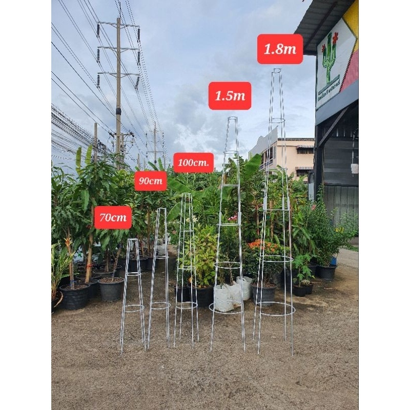 ** กรุณาสั่งแยกจากสินค้าอื่น**T-Rose ทรีโรส 70cm,90cm,100cm,1.5m,1.8m ซุ้มกุหลาบ ใช้สำหรับกระถาง12นิ