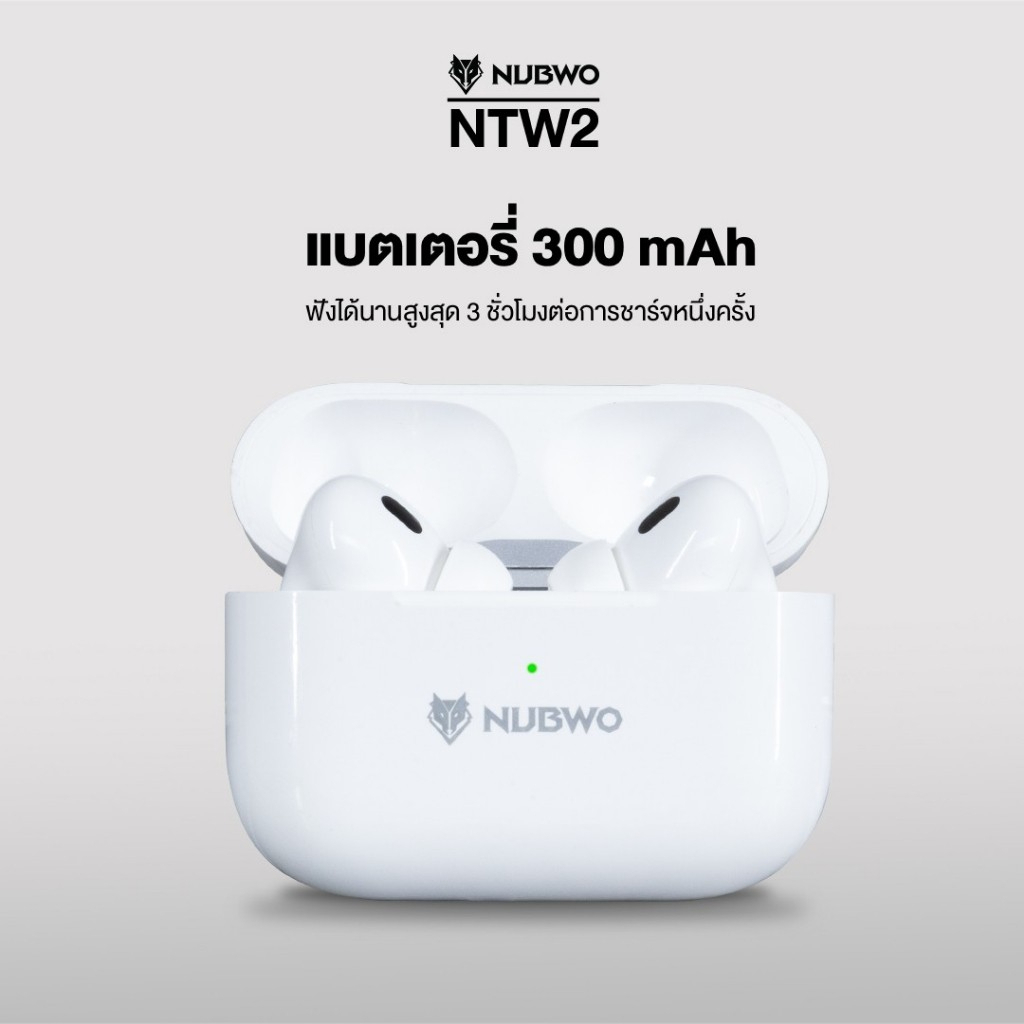 หูฟัง In Ear รุ่น NTW2 IN EAR TRUE-WIRELESS