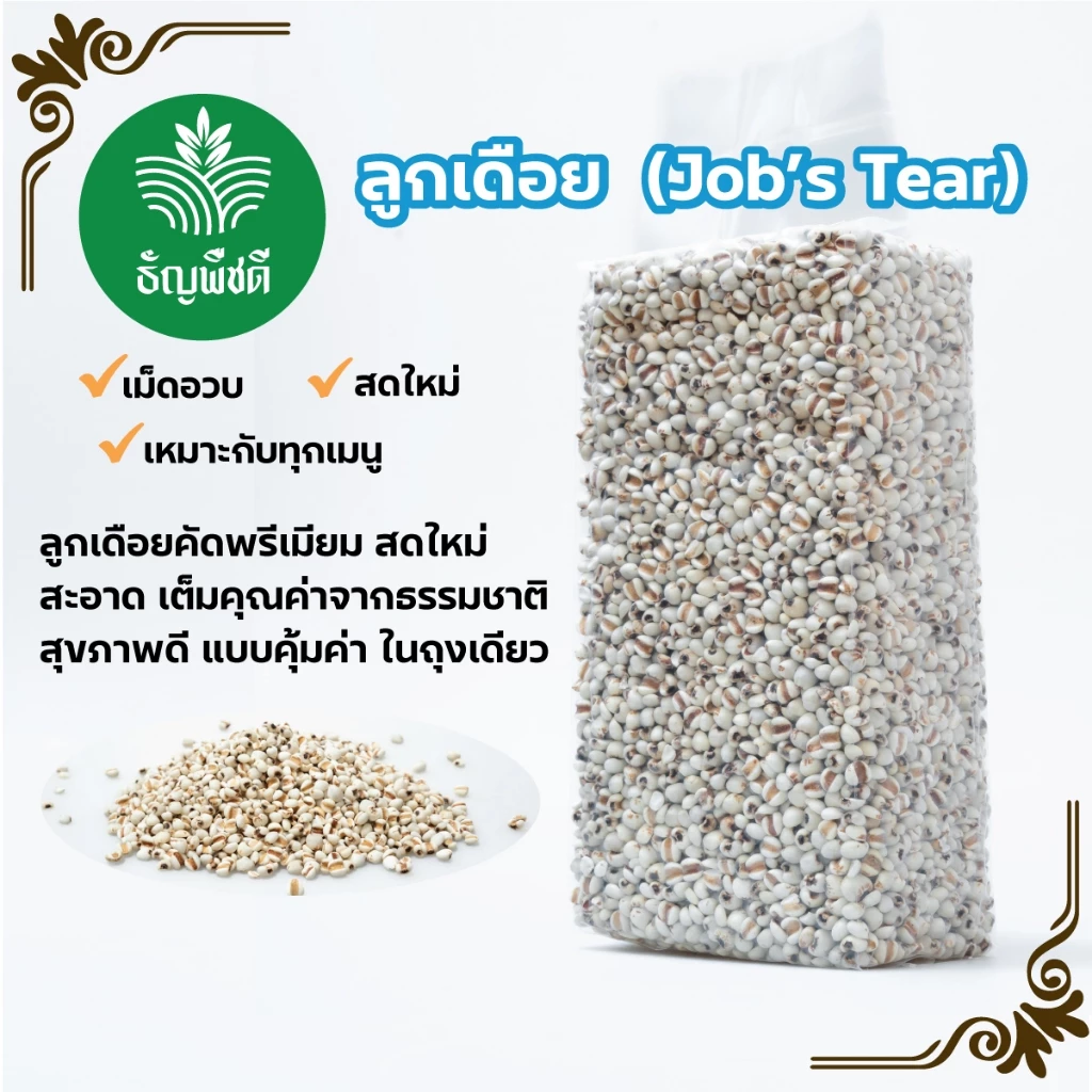 ลูกเดือยแท้ 100% ธัญพืชคุณภาพสูง คัดพรีเมียม ไม่ปนเศษ ไม่อับ เหมาะสำหรับสายสุขภาพ และเมนูคลีนทุกชนิด