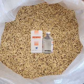 ข้าวเปลือกไก่อาหารนก  ลิน โค ซเปค