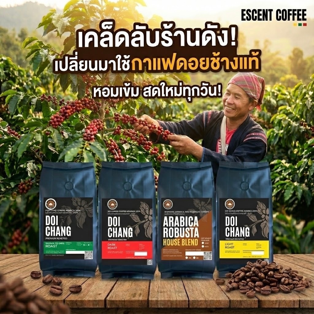 เมล็ดกาแฟดอยช้างอาราบิก้า 100 % เกรดมาตรฐาน จากโรงคั่วบนดอยช้างจังหวัดเชียงราย - 5
