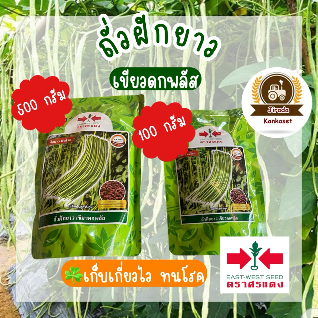 เมล็ดผัก ถั่วฝักยาว เขียวดกพลัส ตราศรแดง มีของพร้อมส่ง