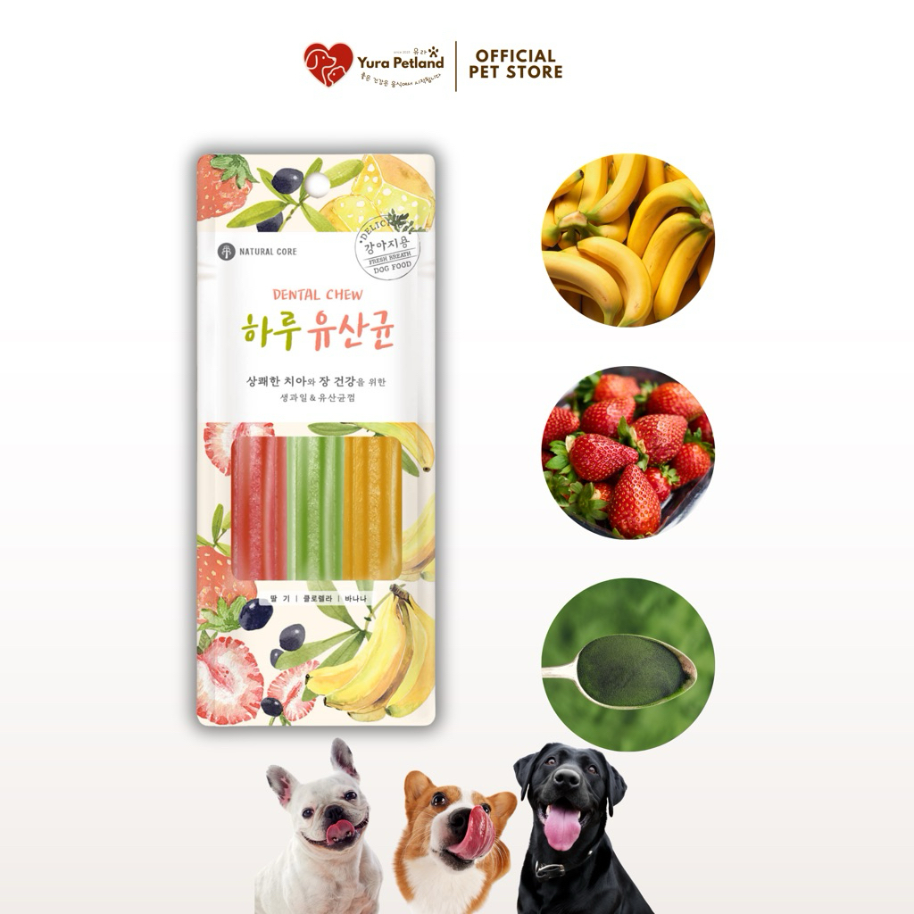 [Haru Lactobacillus ขนมขัดฟันสุนัข นำเข้าจากเกาหลี] Natural Core ผสมผลไม้ ไม่ผสมเนื้อสัตว์ ไม่แข็ง