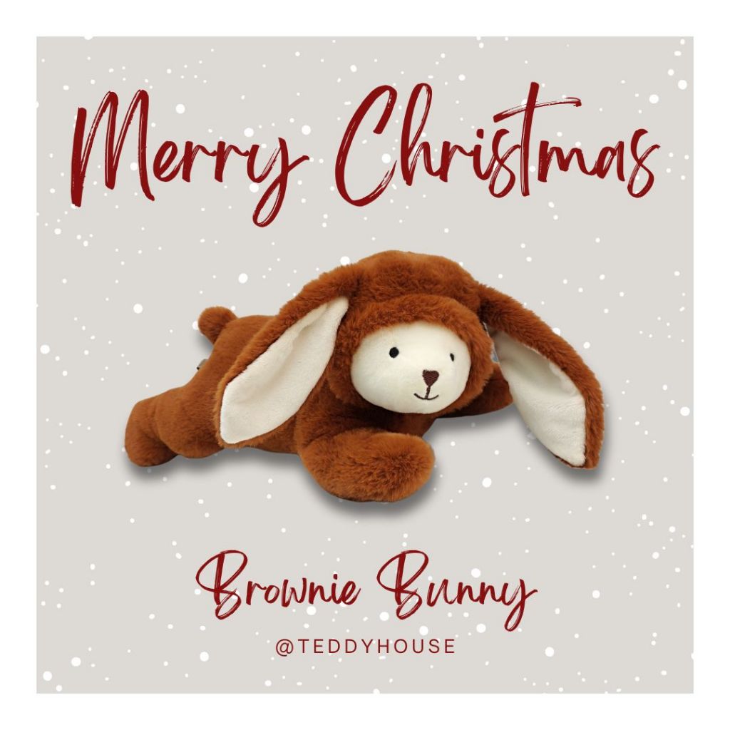 Teddy House : Brownie Bunny Hug กอดอุ่น นุ่มฟู ตั้งแต่กอดแรก ของขวัญแทนความห่วงใย เหมาะกับทุกเทศกาล