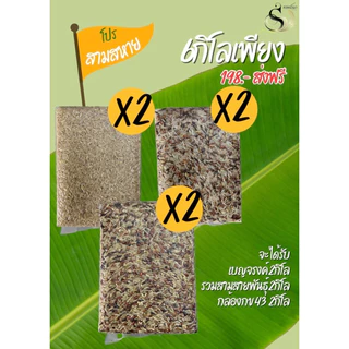 โปรสามสหายข้าวเบญจรงค์/ข้าวกล้อง43/ข้าวรวมสามสายพันธุ์