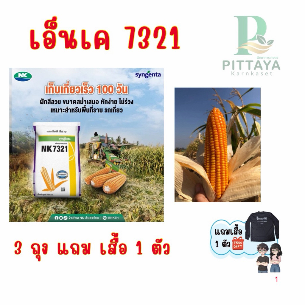 ข้าวโพดเอ็นเค 7321  ( NK 7321 ) ขนาด 10 กิโลกรัม - ผลผลิตดี น้ำหนักดี  สีสวยน้ำหนักฝักดี เก็บเกี่ยวไ