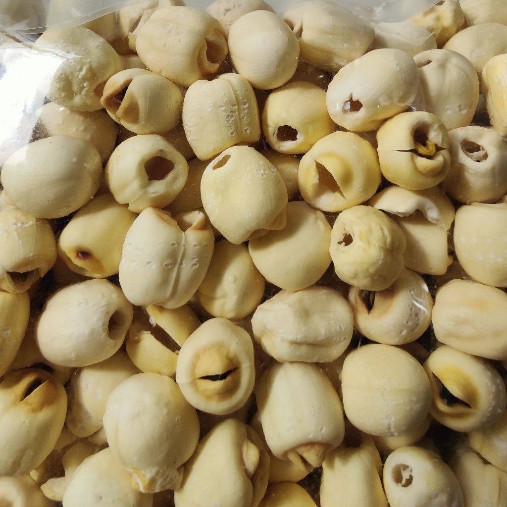 เม็ดบัว เม็ดบัวอบแห้ง เม็ดบัวแกะเปลือก สะอาด ขนาด 10 กรัม - รูปที่ 3