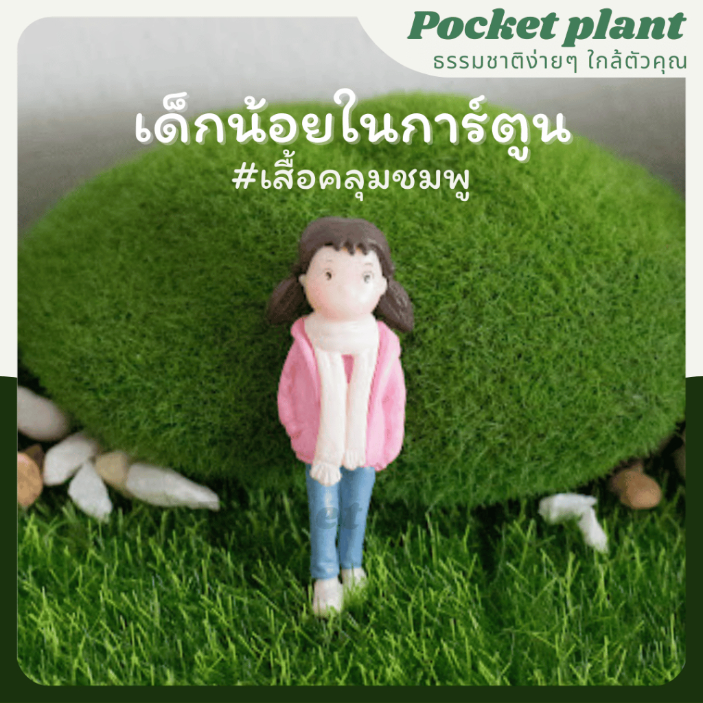 มุมมอง 5