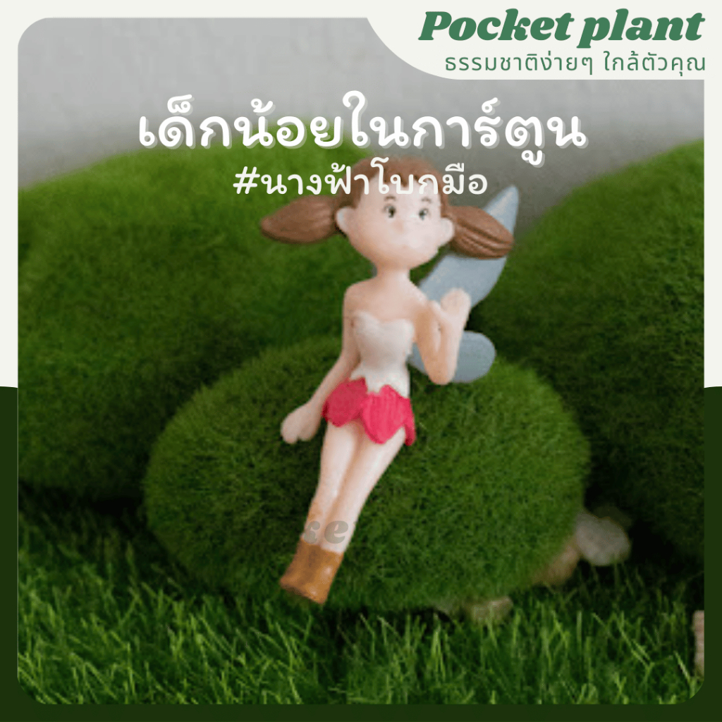 มุมมอง 9