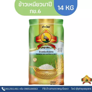 (ซื้อในไลฟ์สด ลด50% ตกกิโลละ18บาท)(ข้าวใหม่ปี69)ข้าวเหนียวนาปีกข.6 ขนาด 14KG คัดพิเศษ
