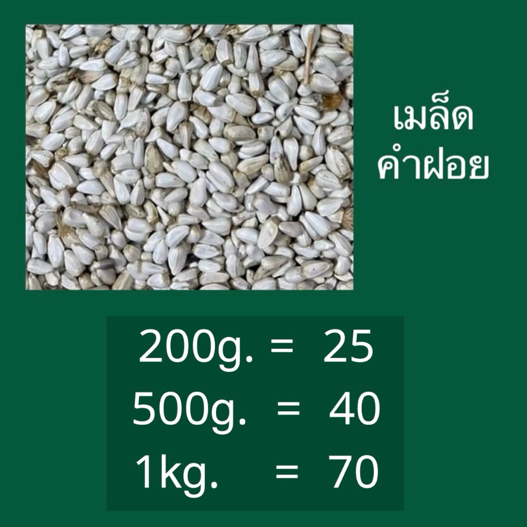เมล็ดดอกคำฝอย(ทานตะวันขาว) อาหารนก ไขมันต่ำ