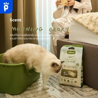 [🔥MidmonthSale]My Paws Cat Litter X Summerstuff.marine ทรายแมวเต้าหู้ ทรายแมวเกรดVHQ