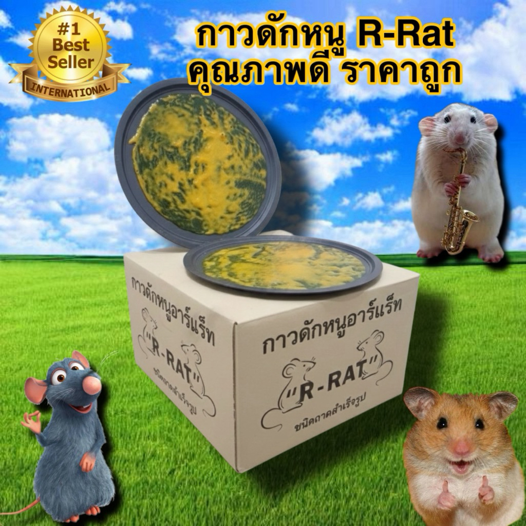 (ยกโหล) กาวดักหนูสำเร็จ ถาดกาวดักหนู ราคาถูก คุณภาพดี