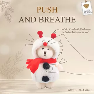 Teddy House : Aroma Teddy Sunkissed Muse Collection สดใสต้อนรับซัมเมอร์ ตุ๊กตาหมีหอมปรับอากาศ หอมสดชื่น ขนาด 6 นิ้ว