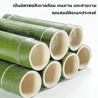 เก้าอี้เปลี่ยนรองเท้า สองชั้นเก้าอี้บ้าน เก้าอี้เปลี่ยนรองเท้าไม้ไผ่ แข็งแรงทนทาน
