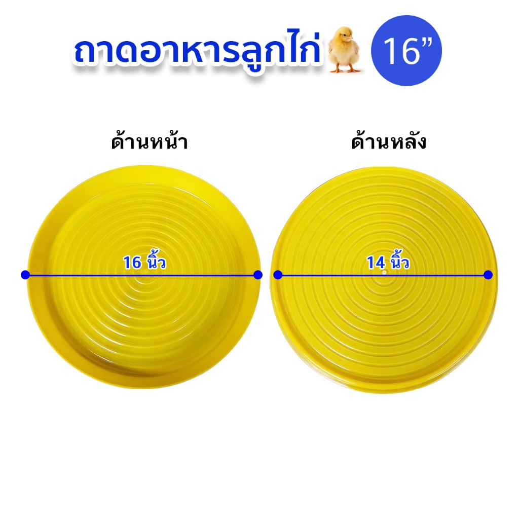 ถาดอาหารลูกไก่ ถาดอาหารไก่ ที่ให้อาหารไก่ ที่ให้อาหารสัตว์ ถาดอาหารสัตว์เลี้ยง เลี้ยงไก่ เลี้ยงสัตว์ สุนัข หมา แมว ไก่