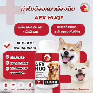 Aexhuq เสริมอาหาร ป้องกันเห็บ หมัด ไร ลดคัน ขนร่วง สูตรสำหรับสุนัข