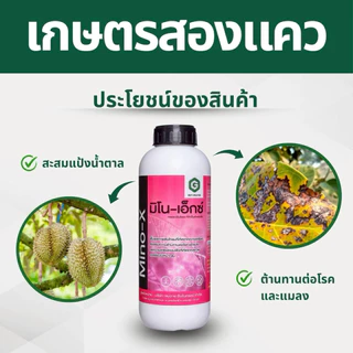 มิโนเอ็กซ์(กรดอะมิโนจำเป็น+น้ำตาลทางด่วน) 1ลิตร