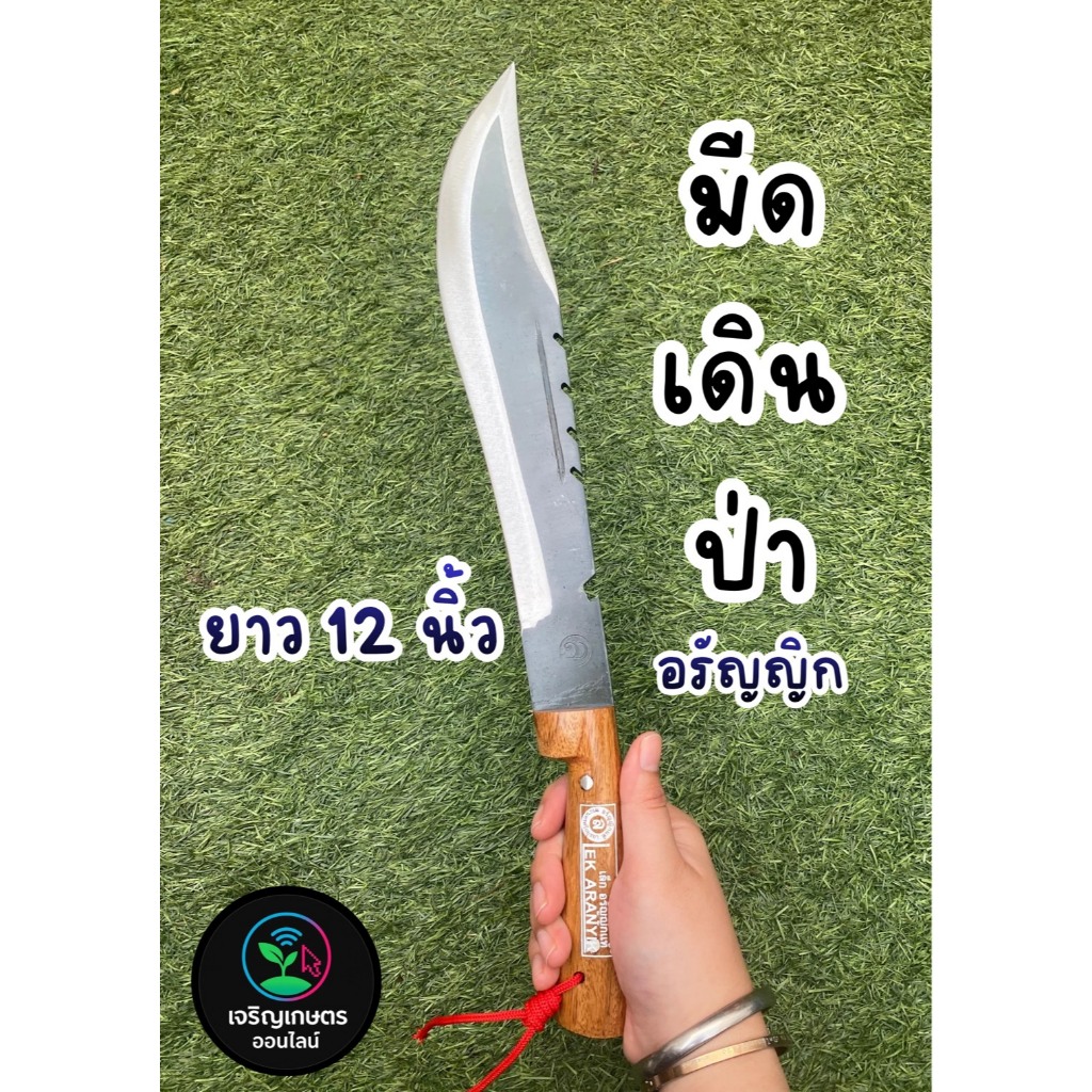 มีดเดินป่า ขนาด 12 นิ้ว เหล็กอรัญญิก คมทน ใช้งานได้หลากหลาย