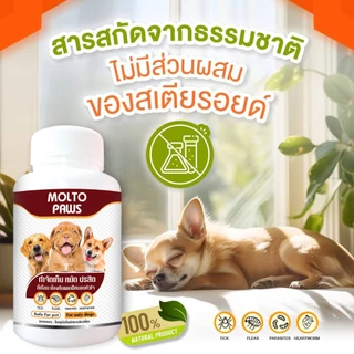 ✅ส่งทุกวัน *เสริมอาหารสัตว์เลี้ยง หายเกลี้ยง เห็บ หมัด ดูแลสุขภาพ สำหรับสุนัข