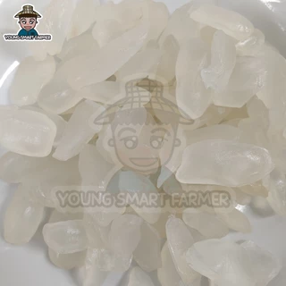 ลูกชิดอบแห้ง ไม่น้ำตาล รสธรรมชาติ เกรด AAA 500 g (Dried Palm Seeds)