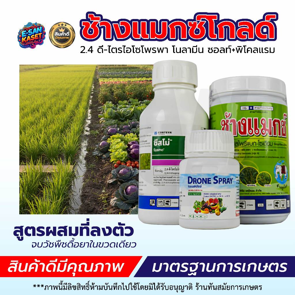 ช้างแมกซ์โกลด์ สารกำจัดวัชพืชในนาข้าว ยากำจัดวัชพืชใบแคบ ใบกว้าง ในข้าว (กล่องละชุด) พร้อมส่ง!!!!