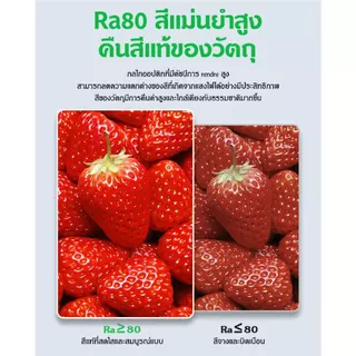 Panasi หลอดไฟ LED รับประกัน 2ปี หลอดไฟ E27 5W 7W 9W 12W 15w สว่างนวลตา มีแสงขาว และ แสง กำลังสูง ประหยัดพลังงาน