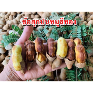 มะขามข้อสุกสีทอง 2 กิโล