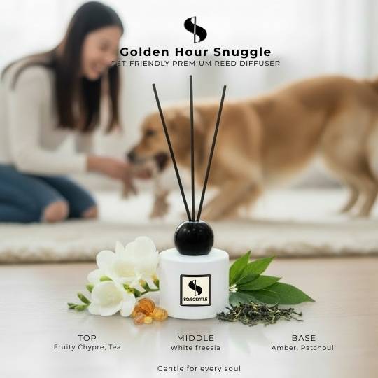 SO/SCENTLE PET FRIENDLY PREMIUM REED Diffuser ก้านไม้หอมปรับอากาศปลอดภัยต่อสัตว์เลี้ยง กลิ่น Golden Hour Snuggle 100 ML