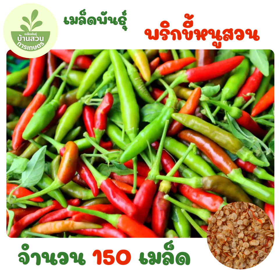 เมล็ดพันธุ์พริกขี้หนูสวน จำนวน 150 เมล็ด