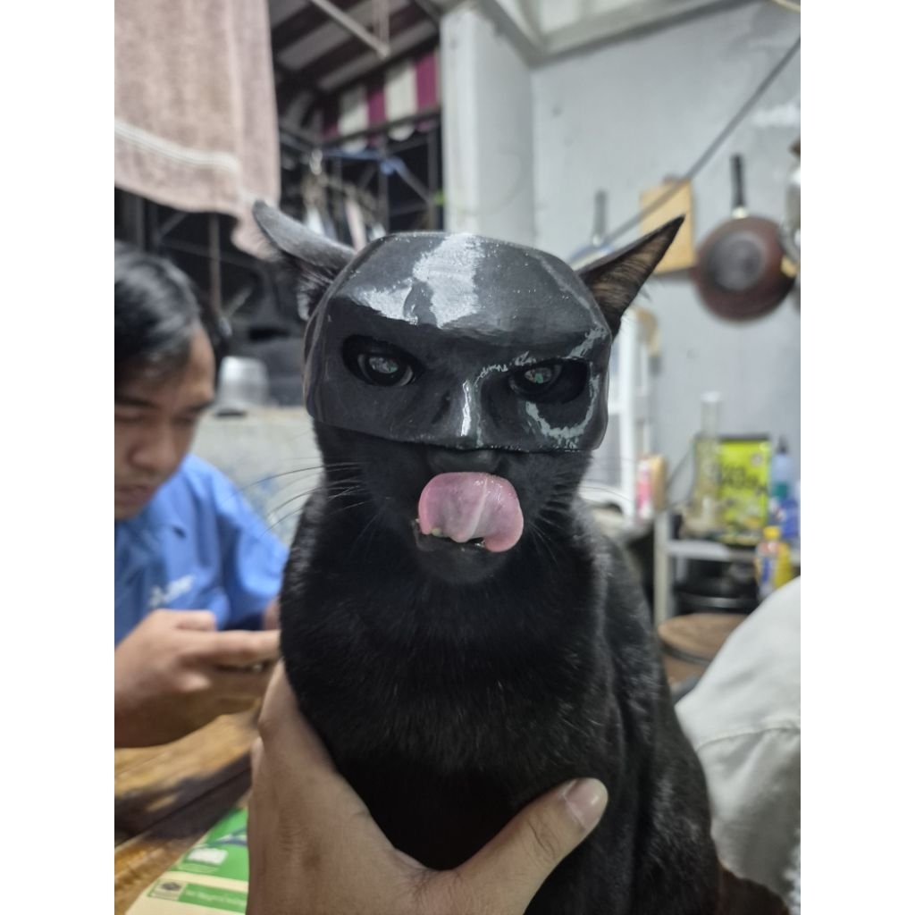หน้ากากแมวแบทแมว3Dprint