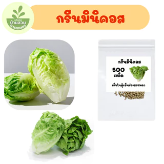 เมล็ดพันธุ์กรีนมินิคอส จำนวน 500 เมล็ด