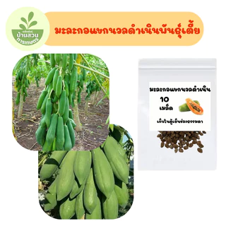 เมล็ดพันธุ์มะละกอแขกนวลดำเนินพันธุ์เตี้ย จำนวน 10 เมล็ด