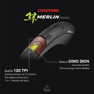 ยางเสือหมอบ Chaoyang merlin สีสันสดใส ขายดี