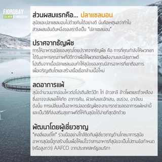 ยกลัง 4 ถุง เคลลี่แอนด์โค อาหารสุนัขเกรนฟรี พรีเมี่ยม ฟอร์ดเบย์ สำหรับสุนัข 2.72 kg. ไม่มีธัญพืชและสัตว์ปีก