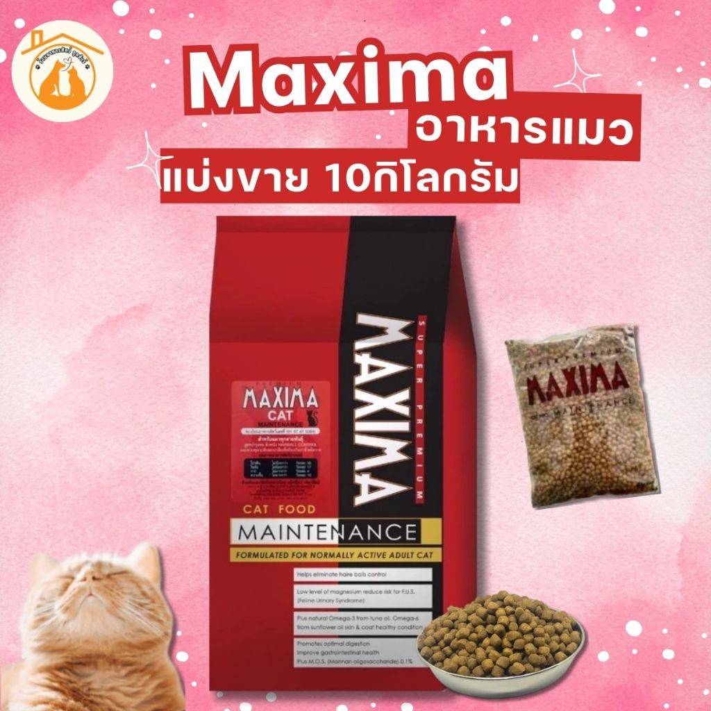 MAXIMA CAT 10kg (แบ่งขาย) อาหารเม็ด สำหรับแมวทุกสายพันธุ์ทุกช่วงวัย ถูกมาก