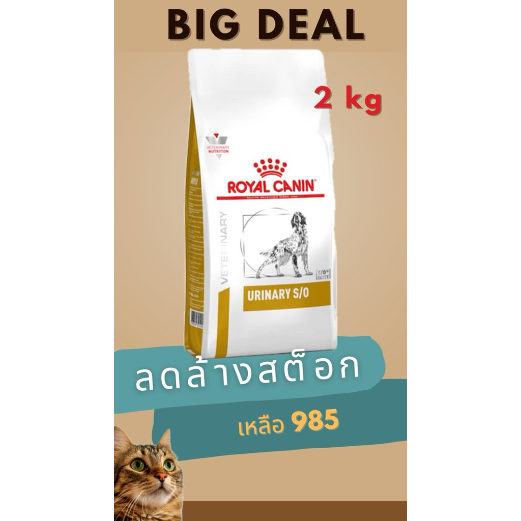 Rolyal Canin Urinary S/O 2 kg (หมดอายุ 7/4/2026)